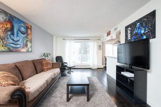 Photo 4: 302 4455C Greenview Drive NE in Calgary: Greenview Apartment for sale : MLS®# A1196742