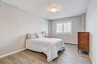 Photo 18: 511 8948 Elbow Drive SW in Calgary: Haysboro Apartment for sale : MLS®# A2019611
