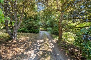 Photo 20: 4037 Holland Ave in Saanich: SW Strawberry Vale House for sale (Saanich West)  : MLS®# 911087