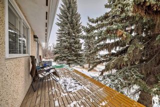 Photo 26: 24416 TWP RD 551: Rural Sturgeon County House for sale : MLS®# E4372465