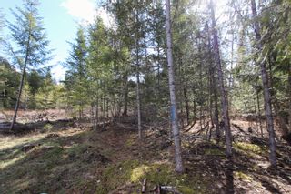 Photo 14: Lot B Zinck Road in Scotch Creek: Land Only for sale : MLS®# 10249220