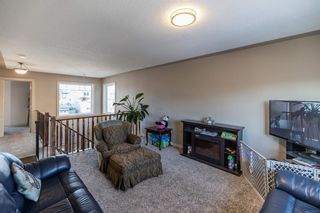 Photo 12: 22 Royal Birch Way NW in Calgary: Royal Oak Detached for sale : MLS®# A2013837