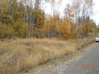 Photo 7: 3 2481 Squilax Anglemont Road in Lee Creek: Land Only for sale : MLS®# 10055686