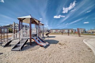 Photo 31: 3305 279 Copperpond Common SE in Calgary: Copperfield Apartment for sale : MLS®# A2122177