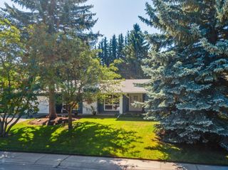 Photo 41: 439 WILDERNESS Drive SE in Calgary: Willow Park Detached for sale : MLS®# A1026738