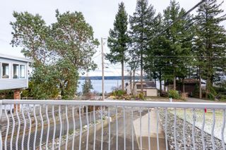 Photo 4: 704 Ash St in Campbell River: CR Campbell River Central House for sale : MLS®# 865912