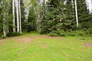Photo 24: 6793 KROEKER Road in Smithers: Smithers - Rural Manufactured Home for sale in "Glacier View Estates" (Smithers And Area (Zone 54))  : MLS®# R2495709