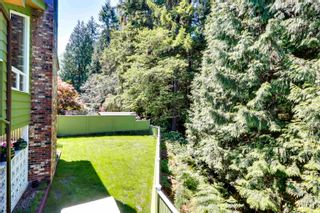 Photo 36: 4343 PATTERDALE Drive in North Vancouver: Canyon Heights NV House for sale : MLS®# R2845332
