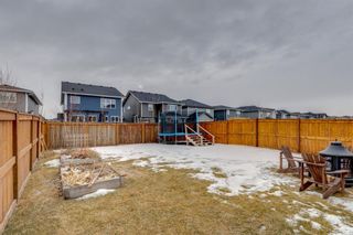 Photo 34: 28 Cranbrook Circle SE in Calgary: Cranston Detached for sale : MLS®# A1173351