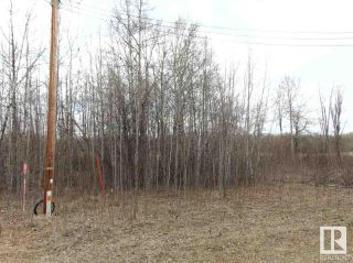 Photo 6: 81 15065 TWP RD 470: Rural Wetaskiwin County Vacant Lot/Land for sale : MLS®# E4335202