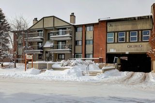 Photo 1: 4305 13045 6 Street SW in Calgary: Canyon Meadows Apartment for sale : MLS®# A2027416