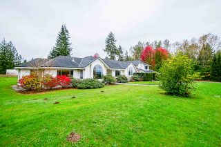 Photo 3: 24114 80 Avenue in Langley: County Line Glen Valley House for sale : MLS®# R2516295