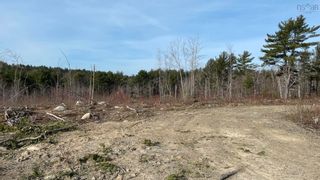 Photo 5: Lot New Elm Road in New Elm: 405-Lunenburg County Vacant Land for sale (South Shore)  : MLS®# 202208148