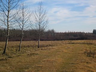 Photo 18: NW 24-54 RR 131: Niton Junction Rural Land for sale (Edson)  : MLS®# 32590