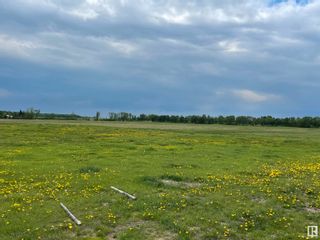 Photo 8: 605XX RGE RD 232: Rural Thorhild County Vacant Lot/Land for sale : MLS®# E4358512