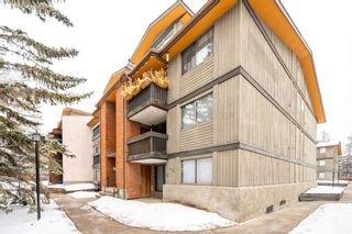 Photo 24: 203B 7301 4A Street SW in Calgary: Kingsland Apartment for sale : MLS®# A2106207