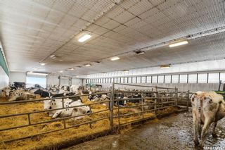 Photo 28: Wiebe Dairy in Corman Park: Farm for sale (Corman Park Rm No. 344)  : MLS®# SK945938
