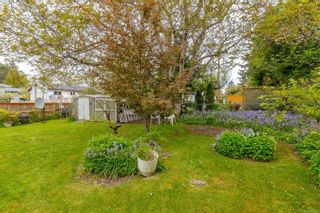 Photo 36: 972 McBriar Ave in Saanich: SE Lake Hill House for sale (Saanich East)  : MLS®# 930910