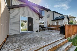 Photo 41: 88 Prestwick Drive SE in Calgary: McKenzie Towne Detached for sale : MLS®# A2080051