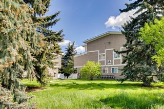 Photo 21: 7 3015 51 Street SW in Calgary: Glenbrook Row/Townhouse for sale : MLS®# A1232728