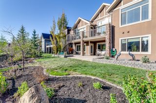 Photo 36: 65 Cranbrook Heights SE in Calgary: Cranston Detached for sale : MLS®# A2049689