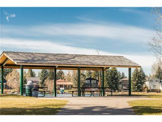 Photo 50: 12439 LAKE FRASER Way SE in Calgary: Lake Bonavista House for sale : MLS®# C4058715