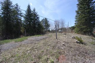 Photo 2: 259 County Rd 41 Road in Kawartha Lakes: Rural Bexley Property for sale : MLS®# X5210398