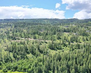 Photo 24: #10 251 Old Salmon Arm Road, in Enderby: Vacant Land for sale : MLS®# 10255513