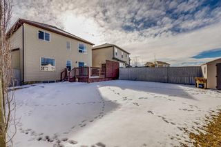 Photo 33: 18 Morningside Landing SW: Airdrie Detached for sale : MLS®# A2109366
