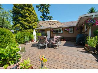 Photo 14: 1361 STAYTE Street: White Rock House for sale (South Surrey White Rock)  : MLS®# F1431789