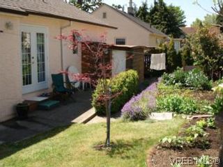 Photo 10: 1590 Bay St in VICTORIA: Vi Oaklands House for sale (Victoria)  : MLS®# 504668