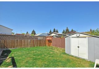 Photo 29: 119 Bedwood Bay NE in Calgary: Beddington Heights Detached for sale : MLS®# A2028643
