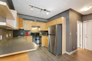 Photo 19: 17 316 22 Avenue SW in Calgary: Mission Apartment for sale : MLS®# A2005696