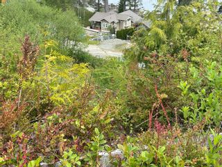 Photo 4: 1110 Fourth Ave in Ucluelet: PA Salmon Beach Land for sale (Port Alberni)  : MLS®# 931213