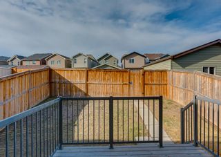 Photo 18: 222 Cranford Way SE in Calgary: Cranston Detached for sale : MLS®# A2045243