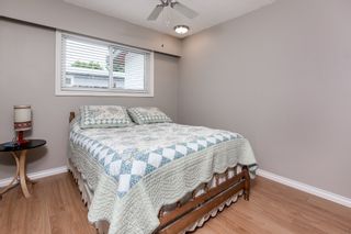 Photo 11: 11754 Steeves Street in Maple Ridge: south west maple ridge House for sale : MLS®# R2178109