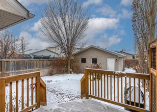 Photo 42: 218 Elgin Rise SE in Calgary: McKenzie Towne Detached for sale : MLS®# A2016637