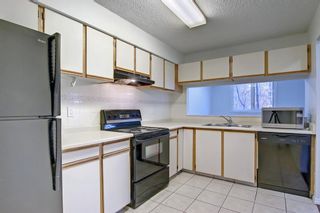 Photo 11: 202 225 25 Avenue SW in Calgary: Mission Apartment for sale : MLS®# A1163942
