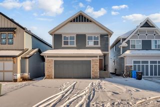 Photo 3: 345 Magnolia Place SE in Calgary: Mahogany Detached for sale : MLS®# A2101276