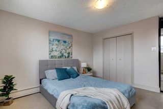 Photo 23: 304 505 19 Avenue SW in Calgary: Cliff Bungalow Apartment for sale : MLS®# A2127942