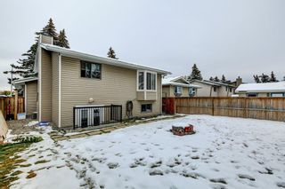 Photo 31: 188 Marquis Place SE: Airdrie Detached for sale : MLS®# A2008675