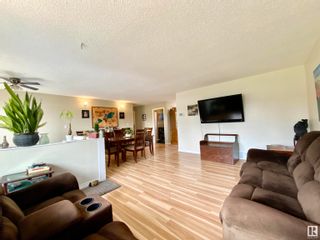 Photo 12: 174 Willow Drive: Wetaskiwin House for sale : MLS®# E4305362
