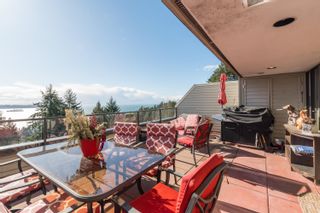 Photo 28: 21 2235 FOLKESTONE Way in West Vancouver: Panorama Village Condo for sale in "PANORAMA VILLAGE" : MLS®# R2877009