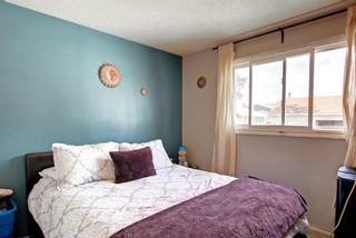 Photo 19: 16 Whitman Close NE in Calgary: Whitehorn Duplex for sale : MLS®# A1244403