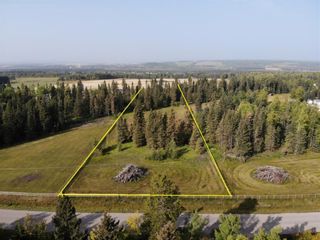 Photo 4: 31, 33048 Range Road 51: Rural Mountain View County Residential Land for sale : MLS®# A1173230