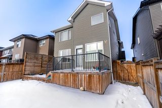 Photo 47: 12 Evansfield Place NW in Calgary: Evanston Detached for sale : MLS®# A2012627