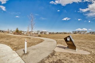 Photo 49: 723 Walden Drive SE in Calgary: Walden Semi Detached (Half Duplex) for sale : MLS®# A2038003