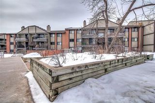Photo 28: 13045 6 Street SW Unit#2102 in Calgary: Canyon Meadows Apartment for sale : MLS®# C4176933