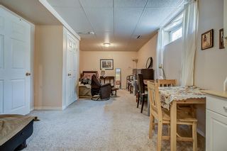 Photo 41: 5 15 Silver Springs Way NW: Airdrie Row/Townhouse for sale : MLS®# A2050968