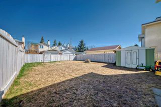 Photo 21: 161 Millrise Close SW in Calgary: Millrise Detached for sale : MLS®# A2131432